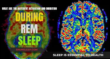 Brain Activity During REM Sleep: Activation and Inhibition Explained