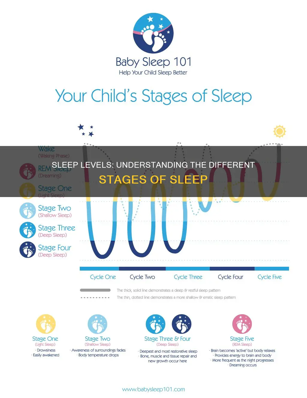 what are the different levels of sleep mean