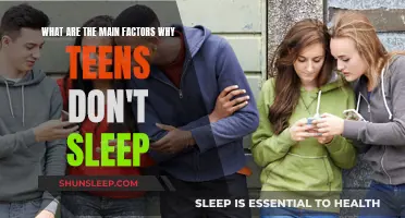 Teens' Sleep: Stress, Screens, and Social Life