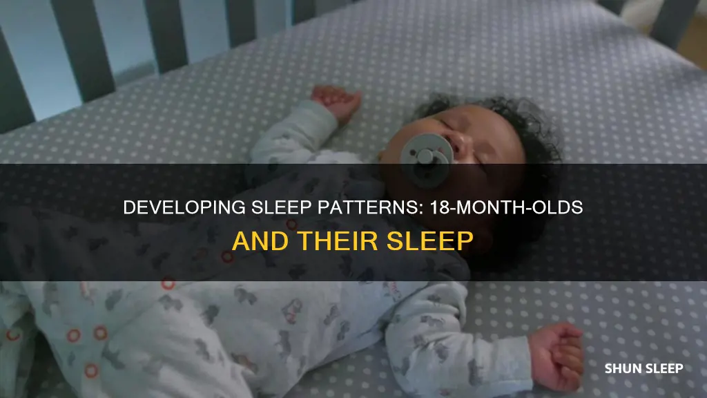 what are the sleeping habits of a 18 month old