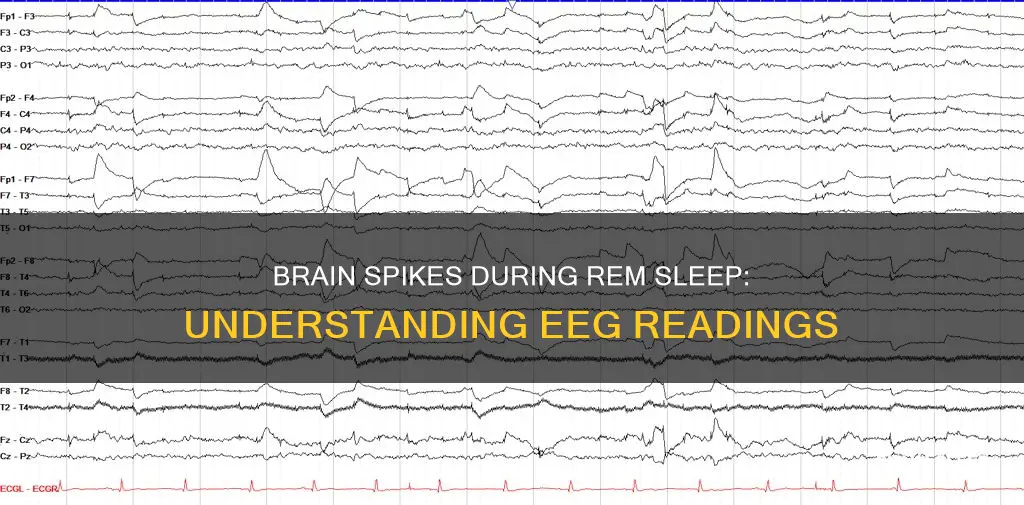 what are the spikes during a eeg during rem sleep