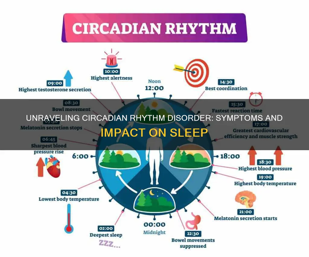 what are the symptoms of circadian rhythm sleep-wake disorder