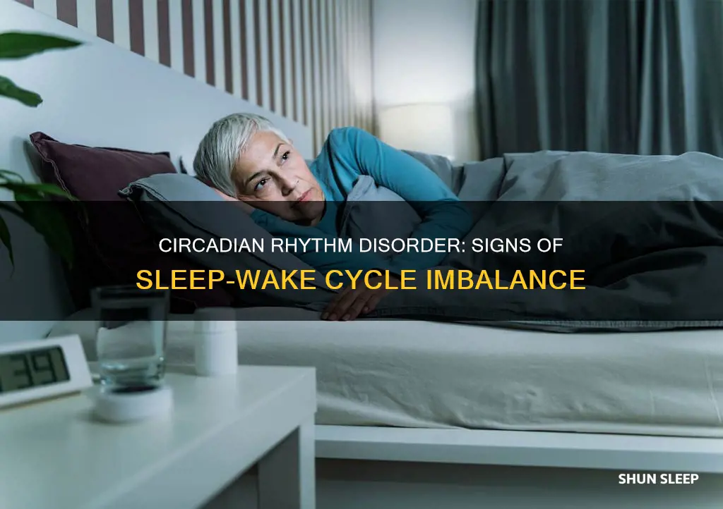 what are the symptoms of circadian rhythm sleep-wake disorder