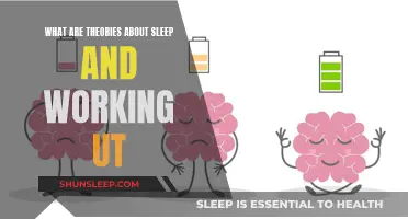 Understanding Sleep: Theories About Sleep and Work Productivity