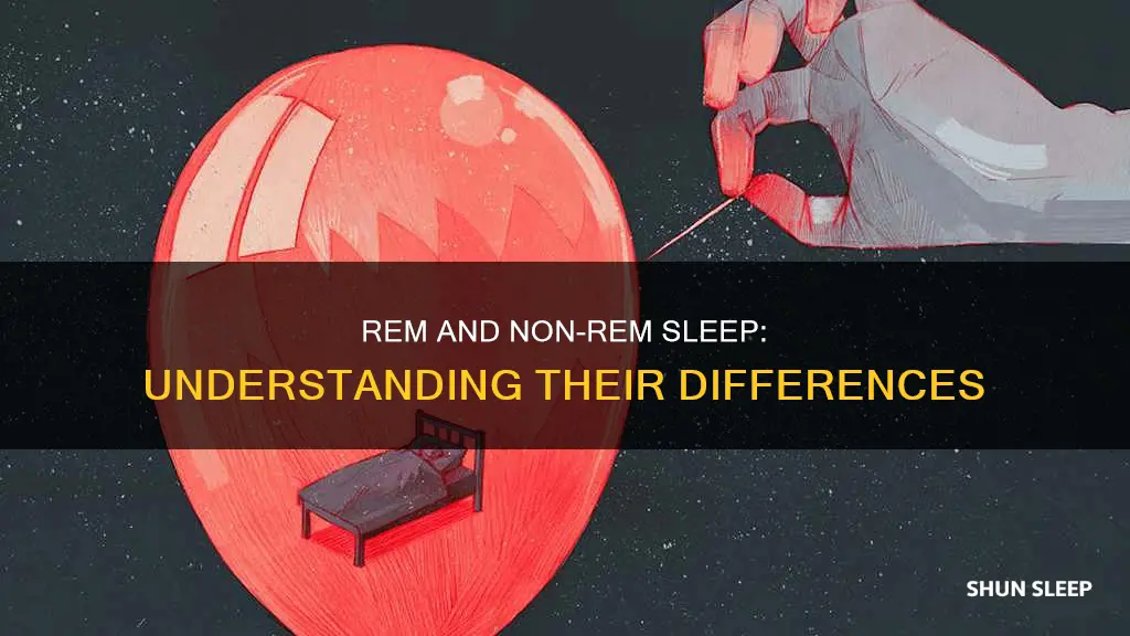 what are three differences between rem sleep and non-rem sleep