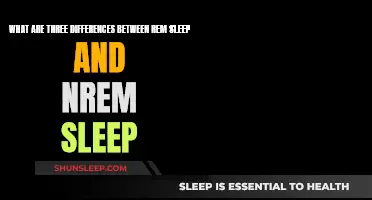 REM and NREM Sleep: Understanding Key Differences