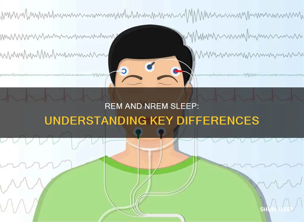 what are three differences between rem sleep and nrem sleep