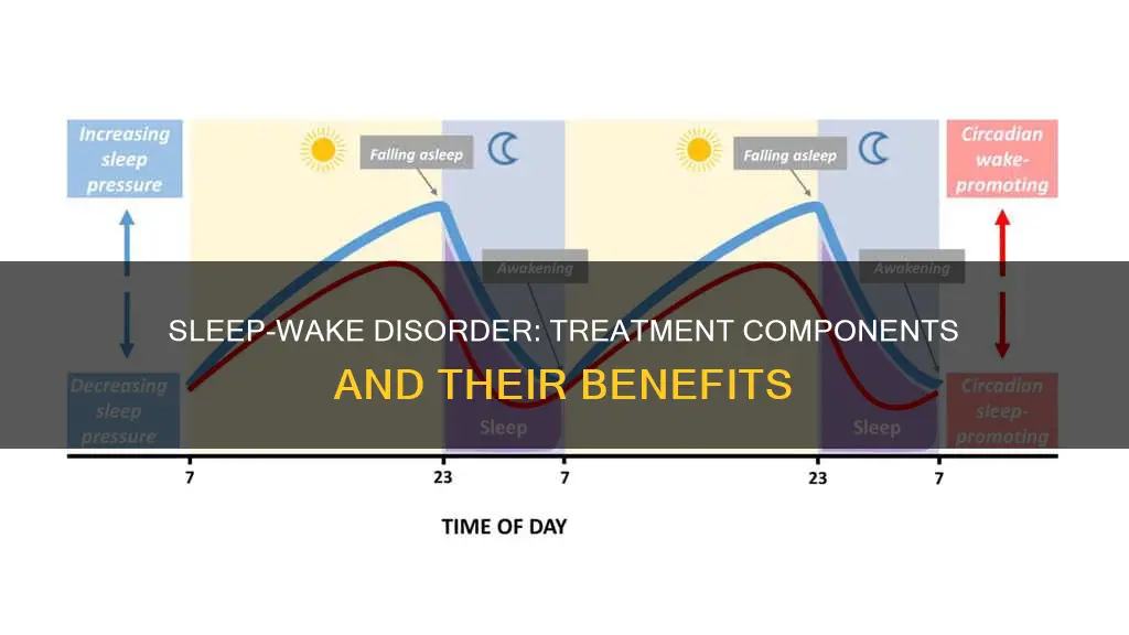 what are typical components of treatment for sleep-wake disorder