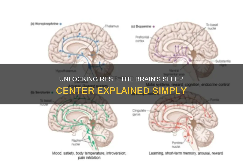 what area of the brain helps us sleep