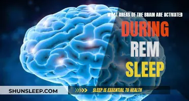 REM Sleep: Brain Regions Activated and Their Functions