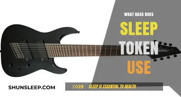 Sleep Token's Bass Secrets: What's Their Setup?