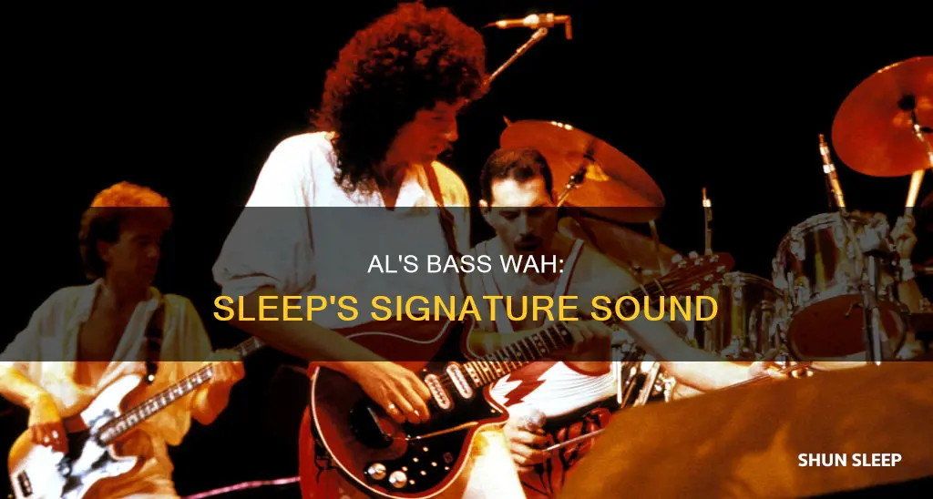 what bass wah does al from sleep use