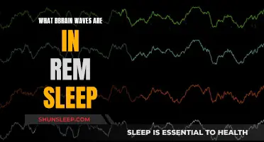 Brain Waves During REM Sleep: Unlocking the Mystery