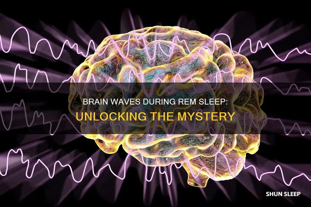 what bbrain waves are in rem sleep