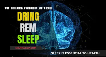 REM Sleep: Unlocking Biological Psychology Events