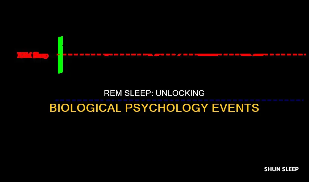 what biollogical psychology events occur dring rem sleep