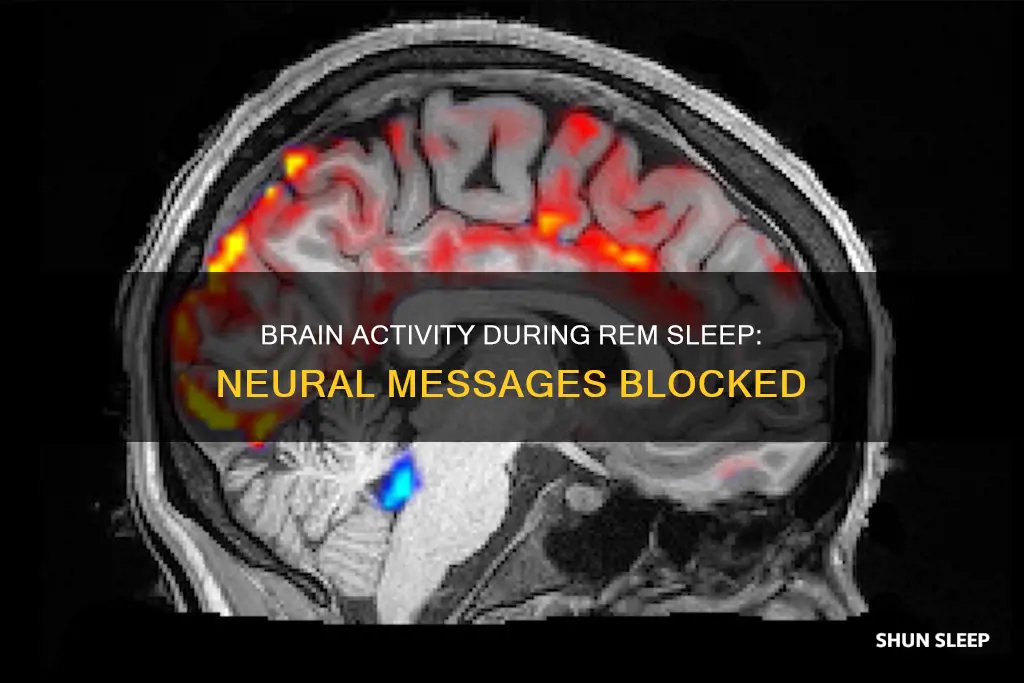 what blocks neural messages during rem sleep