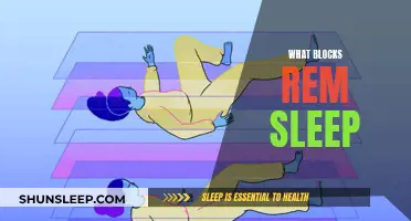 Understanding the Factors Blocking Your REM Sleep