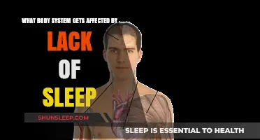 Sleep Deprivation's Impact: Which Body Systems Suffer the Most?