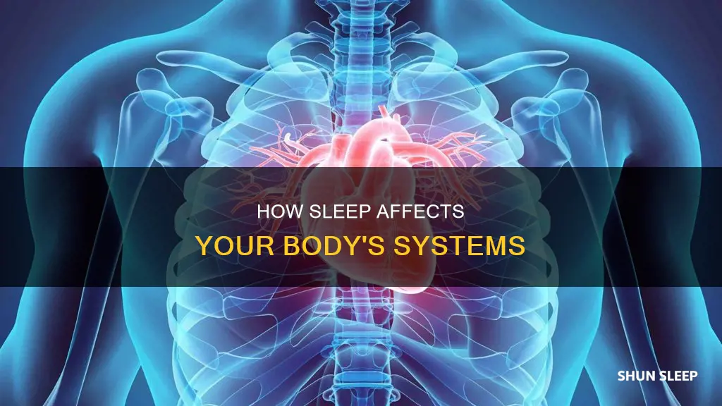 what body systems are used when sleeping