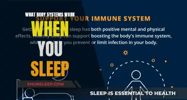 The Body's Systems and Sleep: A Complex Relationship