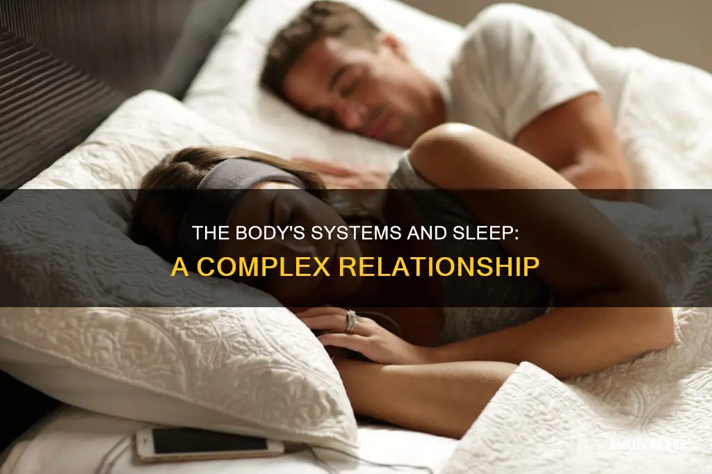 what body systems work when you sleep