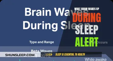 Unraveling the Mystery: What Your Brain Alerts You to During Sleep