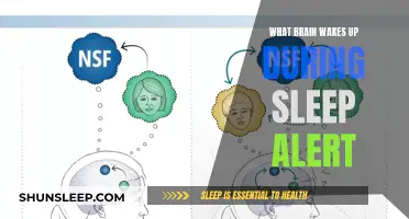 Brain Alert: Unconscious Mind's Active Wake-Up Call