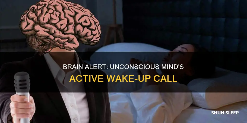 what brain wakes up during sleep alert