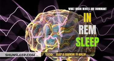 Brain Waves During REM Sleep: Unlocking the Mystery