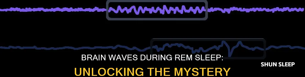 what brain waves are dominant in rem sleep