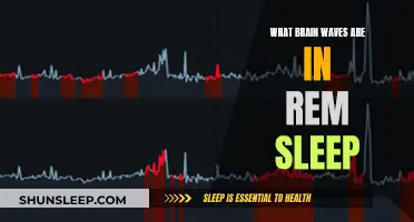 Brain Waves During REM Sleep: Unlocking the Mystery