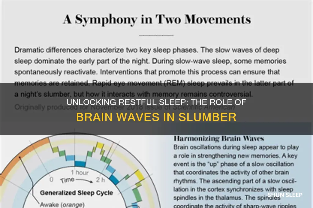 what brain waves help you sleep