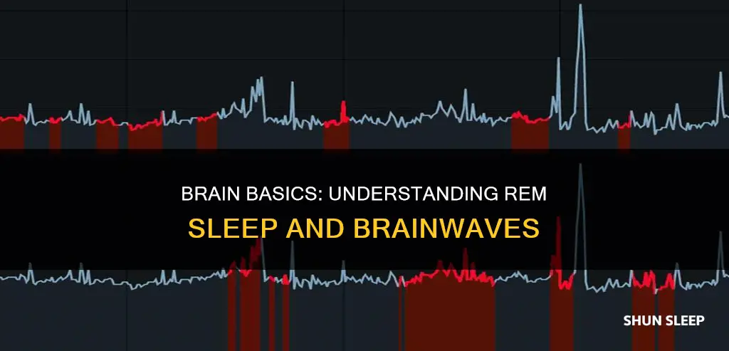 what brainwave is rem sleep