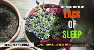 Sleep Solutions: Strategies for Tackling Insomnia and Restlessness