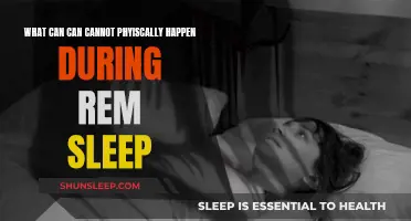 The Science of REM Sleep: Physical Limitations and Possibilities