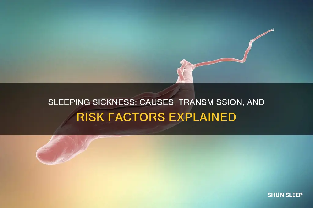 what can get sleeping sickness