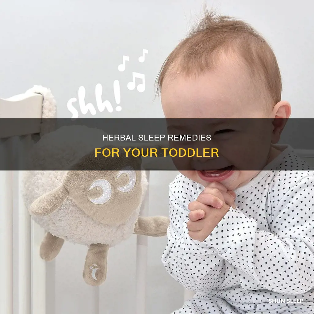 what can i give a 2 year old to sleep
