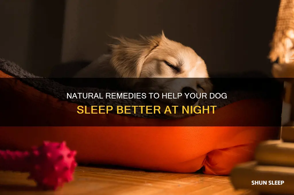 what can i give a dog to help them sleep