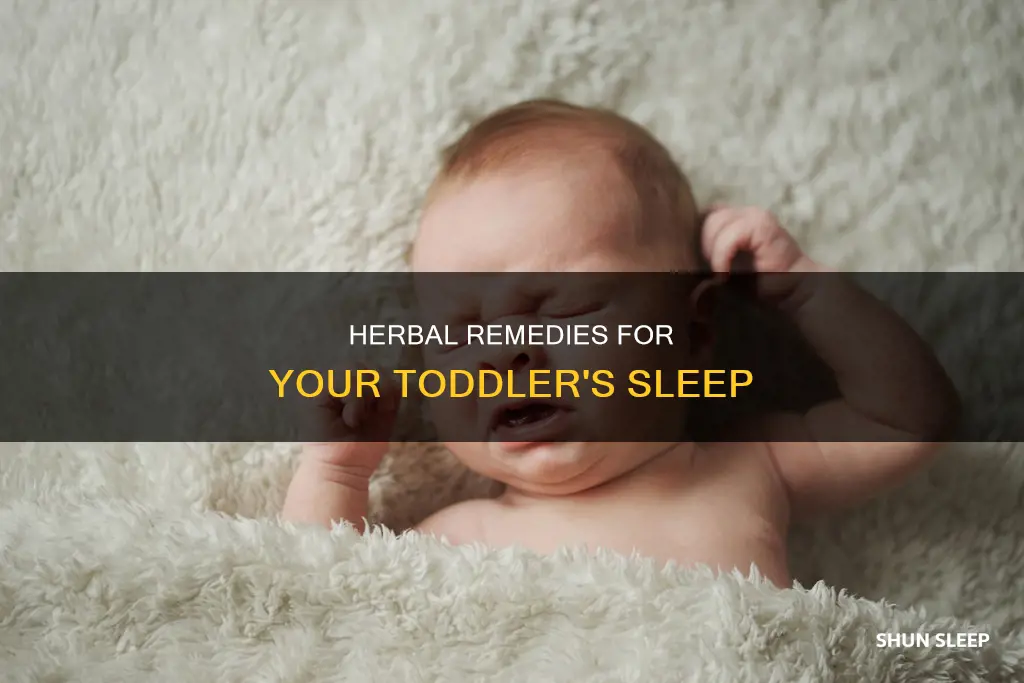 what can i give my 2 year old to sleep