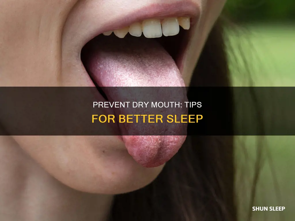 what can i use to prevent dry mouth while sleeping