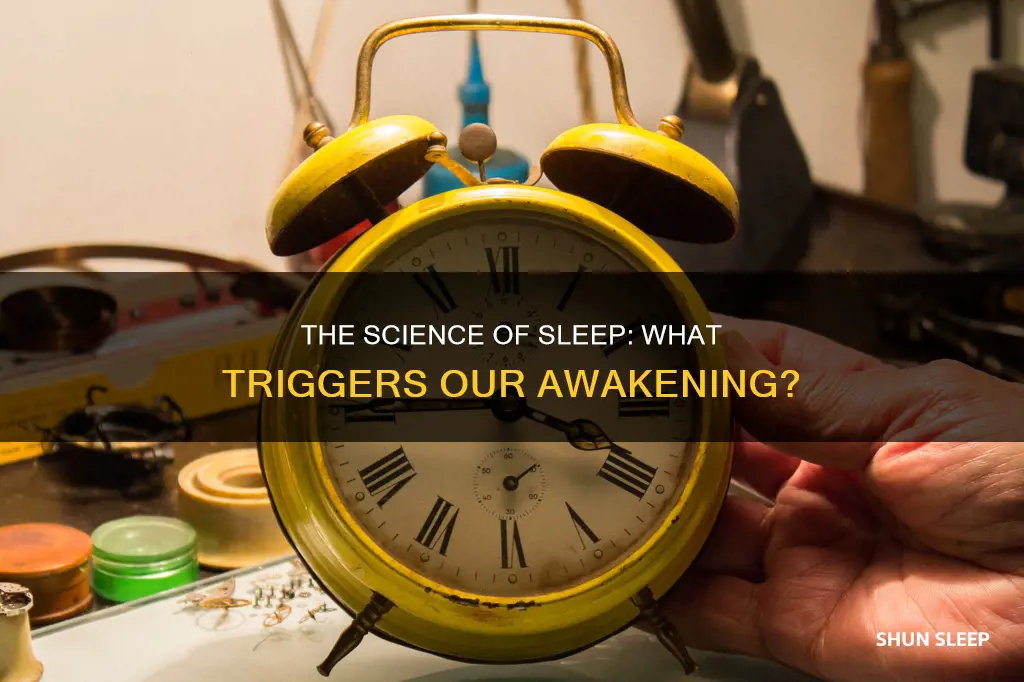 what can wake a sleeping person