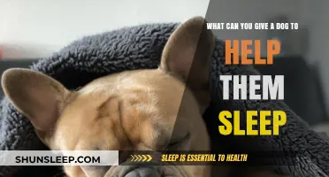 Natural Remedies and Tips to Help Your Dog Sleep Better