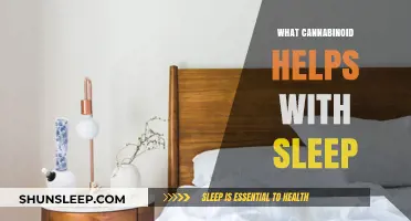 Cannabinoids for Better Sleep: Which One Helps You Rest?