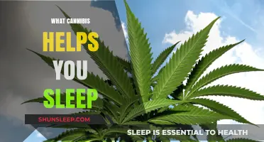 Cannabis and Sleep: How It Helps You Rest Better