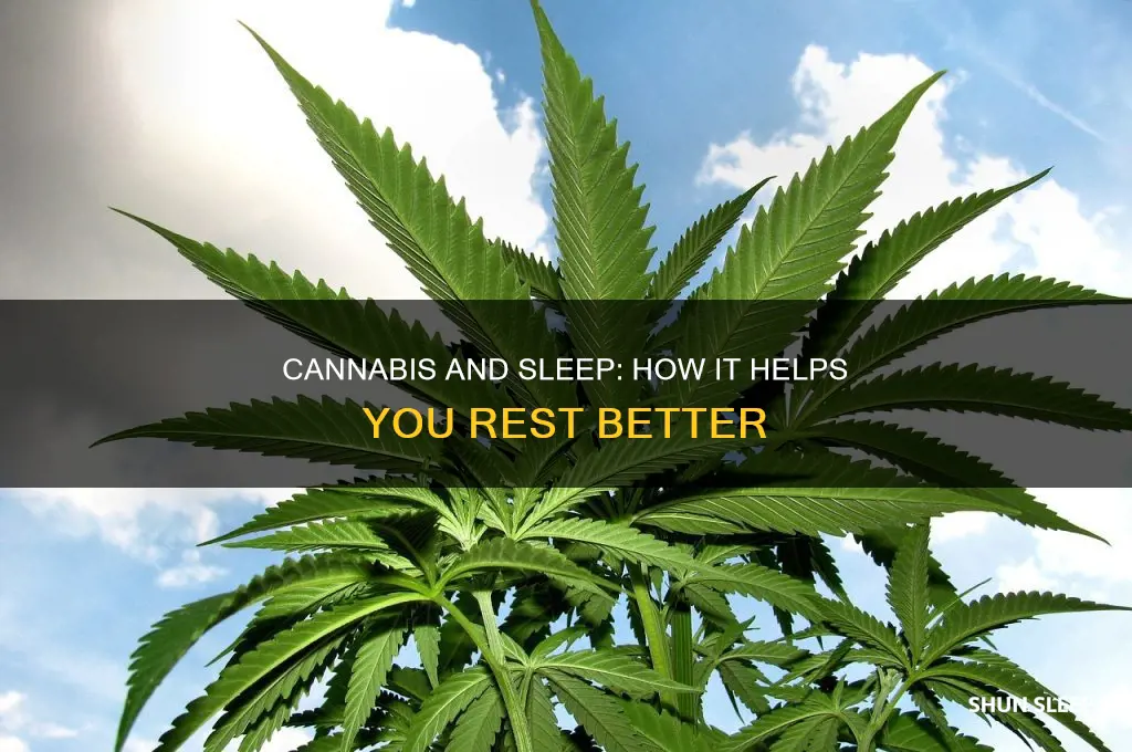 what cannibis helps you sleep