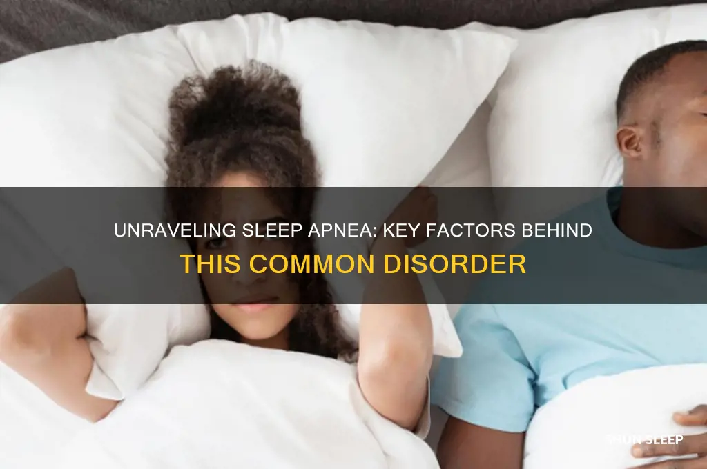 what causes a person to get sleep apnea