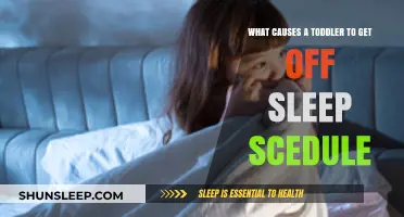 Toddler Sleep Schedule Disruptions: Common Causes and Solutions