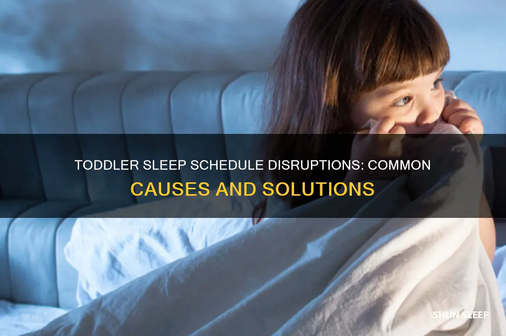 what causes a toddler to get off sleep scedule