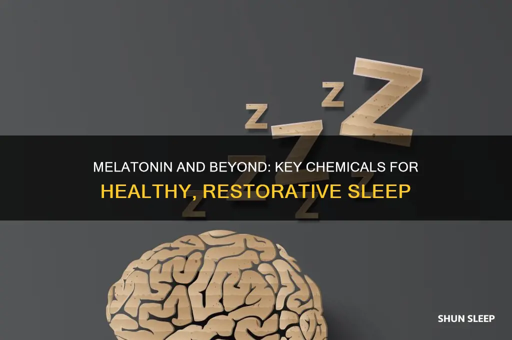 what chemical helps with healty sleep